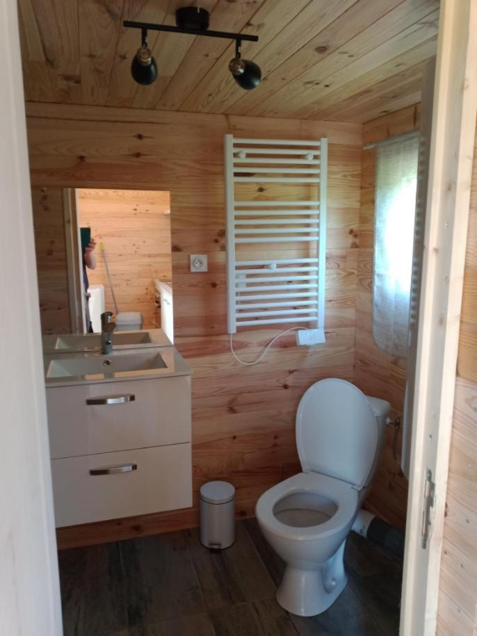 Chalet Au Calme Coullons Zewnętrze zdjęcie